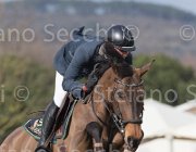Wiering World Wide TosTour 2013- S5 7494 : Arezzo Equestrian Centre, Toscana Tour 2013, Wiering Harrie, World wide, foto di Stefano Secchi ©
